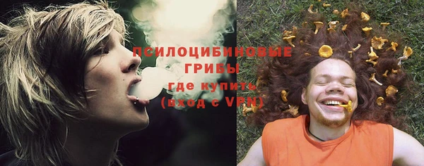 эйфоретик Абаза