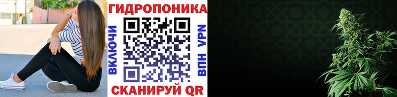 Марихуана планчик  Сергач 